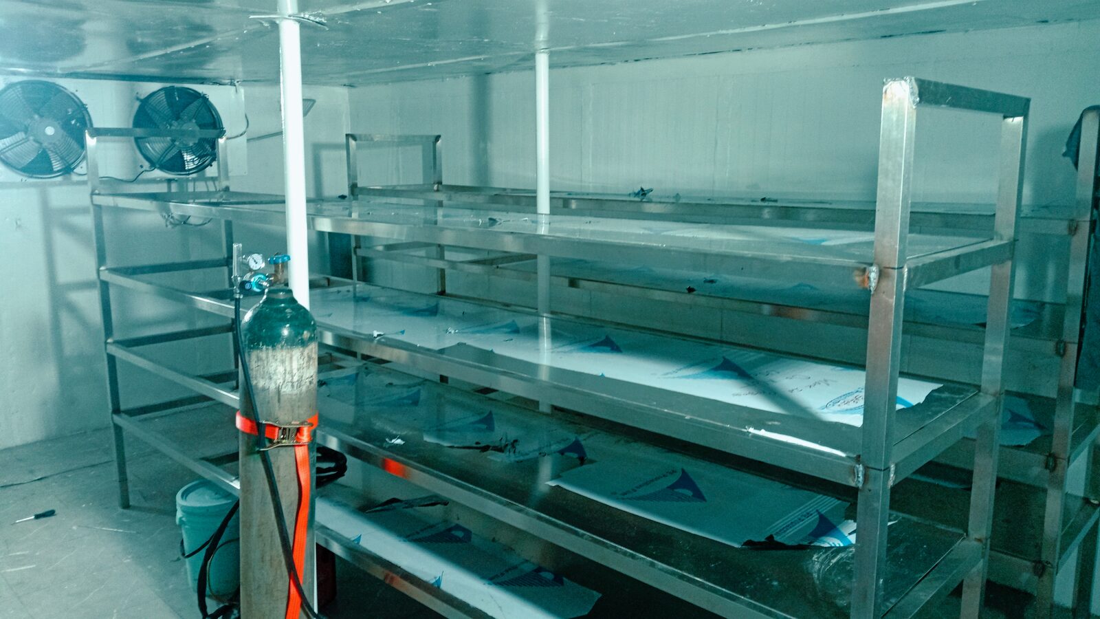 Stainless Steel Shelving Inside Cold Room